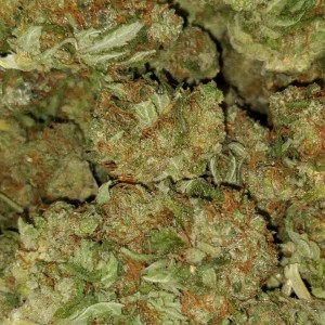 Lemon Diesel (7g)