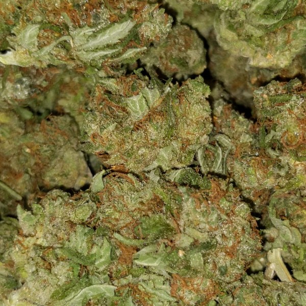 Lemon Diesel (7g)