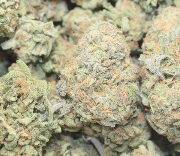 Blue Zombie (7g) - Image 3