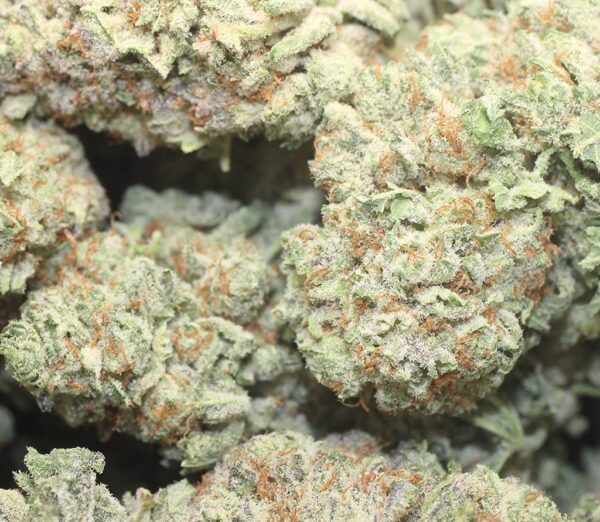 Sweet Tooth (7g) - Image 2