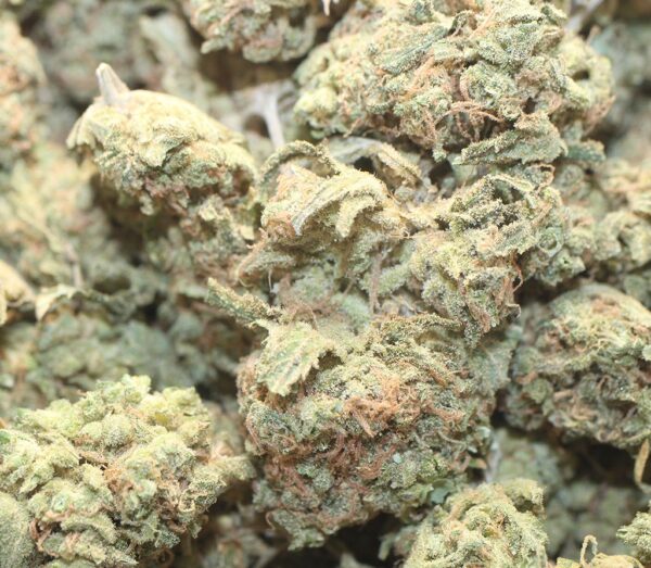 Kushberry (14g) - Image 3
